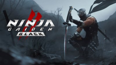 Ninja Gaiden 2 Black key art